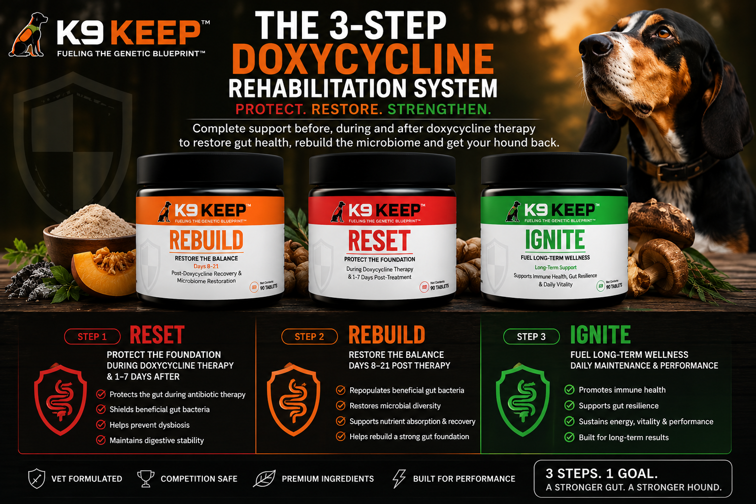 3 Step Gut Rehabilitation System
