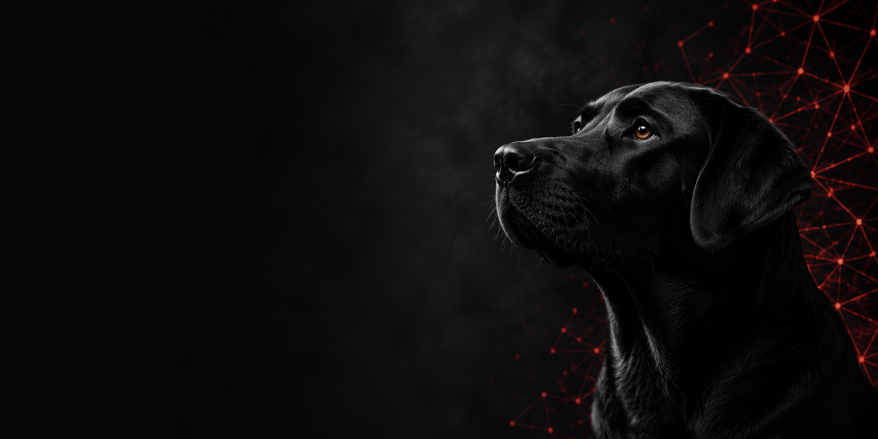 K9 Keep community